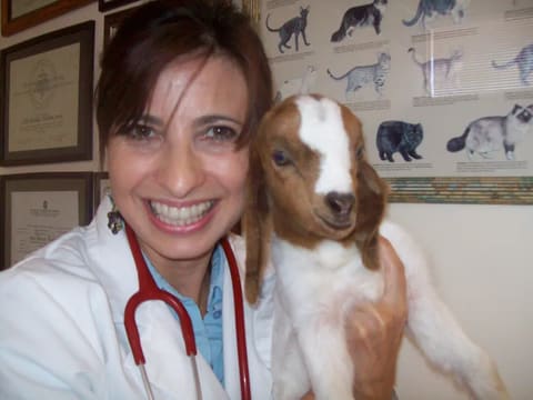 La Dra. Paula Ferreira sonríe con una cabrita en brazos, con los diplomas en la pared detrás