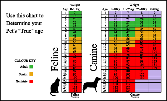 Surveillance Screening Age Chart Surveillance Screening Age Chart
